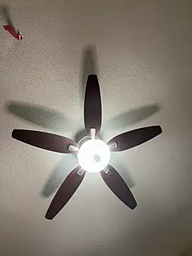 Kiki hammyy online show from 02-20-26, 06:19