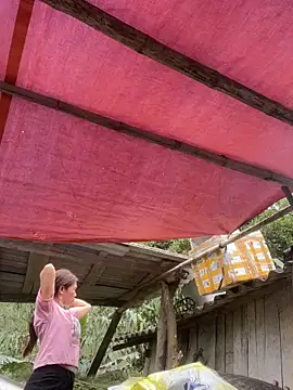 meganmeo online show from 03-24-26, 05:51