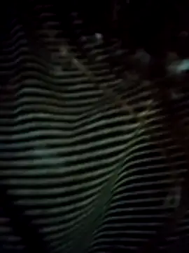 EweXZZ online show from 02-24-26, 02:01