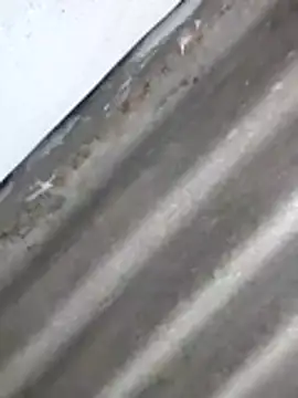 Babita Gori online show from 04-08-26, 02:29