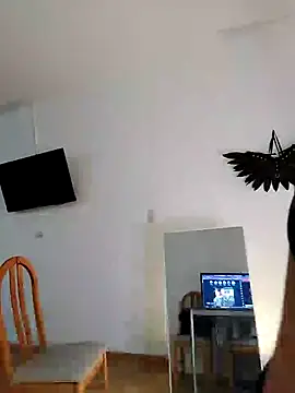 ArgentinaShani online show from 03-08-26, 08:12