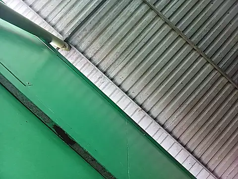 Lin-kute98 online show from 04-07-26, 12:56