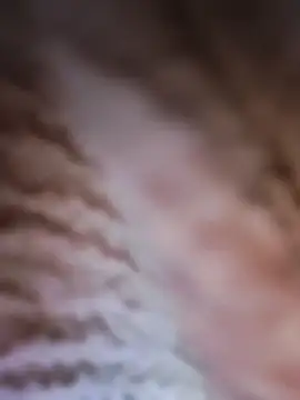 Punam panjabi online show from 02-28-26, 07:52