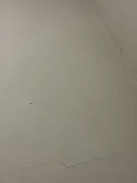 PartiedOmelet online show from 01-13-26, 01:48