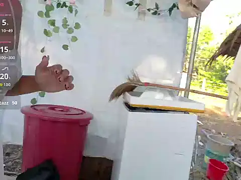 Juliet official pro online show from 03-14-26, 11:33