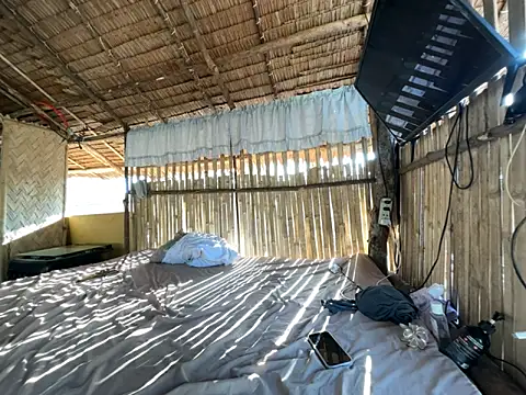 Juliet official pro online show from 04-03-26, 11:44