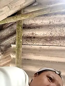 hey-bana online show from 12-17-25, 03:33