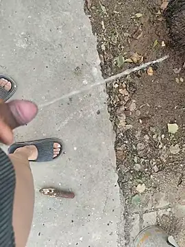 Adandan01 online show from 12-02-25, 03:52