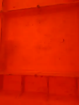 virgin cunt online show from 11-29-25, 12:05