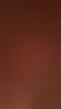 casalde9vinhos online show from 04-11-26, 05:27