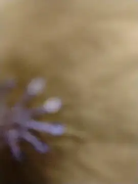 RASHMI SHARMA9 online show from 02-16-26, 04:00