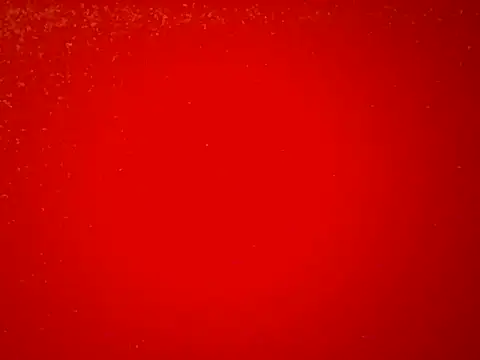 Snapshot of Londy170 chatting on 12-21-25, 09:00 Londy170 online show from 12-21-25, 09:00