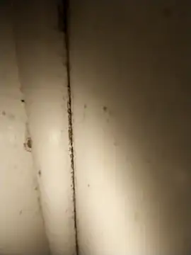 AdvancedRoster online show from 04-21-26, 03:18