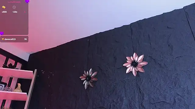 Paulo 527 online show from 01-06-26, 09:30