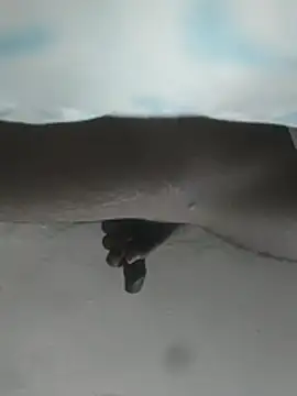 hunter379 online show from 12-03-25, 09:42