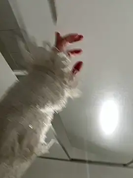 Seven-017 online show from 12-21-25, 06:59