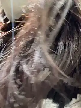 Seven-017 online show from 12-16-25, 05:00