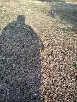 88zaifkhan88 online show from 01-14-26, 03:32