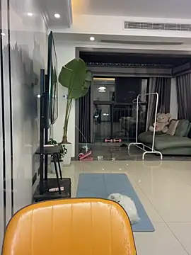 DMG-41 online show from 12-02-25, 12:29