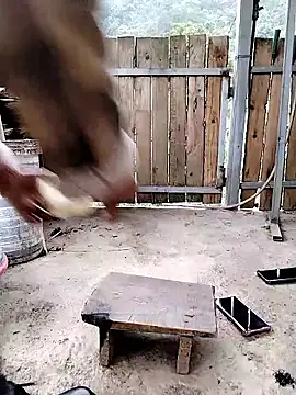 mumu661 online show from 01-08-26, 08:31