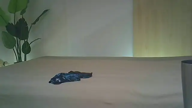 kyono-iyashi online show from 06-19-26, 02:45