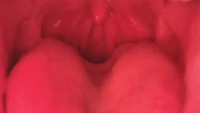 LT-333 online show from 01-11-26, 03:52