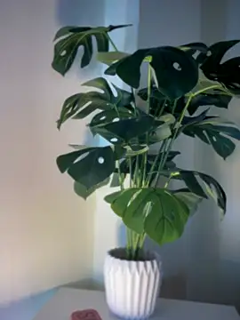 ZoeyFierce online show from 03-08-26, 01:36