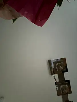 Snapshot of mellixxa chatting on 12-04-25, 02:49 mellixxa online show from 12-04-25, 02:49