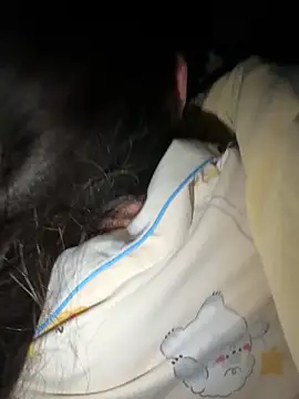 molihua 7788 online show from 04-04-26, 06:36