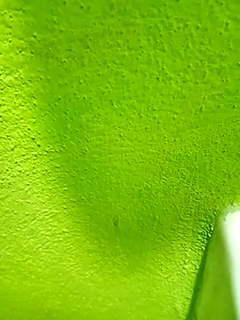 Snapshot of hectorpuga9 chatting on 03-09-26, 08:51 hectorpuga9 online show from 03-09-26, 08:51