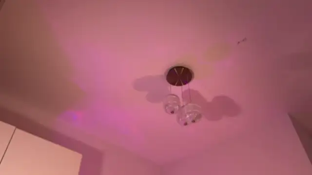 Lunarosaaa online show from 12-16-25, 03:27