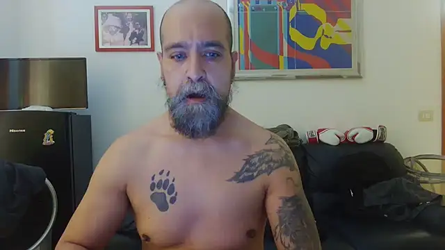 AMIRDIB2025 online show from 06-15-26, 01:55