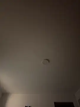 Dafne se online show from 04-03-26, 12:50