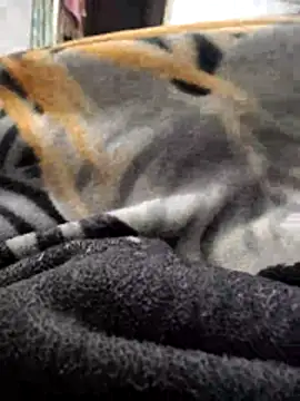 TwinklyBasket897 online show from 12-14-25, 04:34