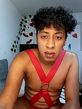 Snapshot of Varek_biglatin_dick chatting on 01-12-26, 02:29 Varek biglatin dick online show from 01-12-26, 02:29