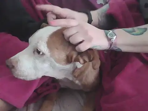 Darkytah online show from 02-20-26, 03:36