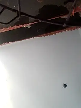 RADHIKA-1143 online show from 12-05-25, 10:36