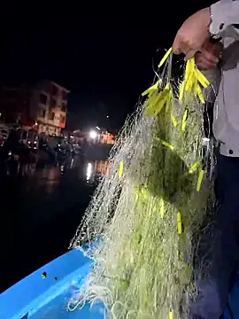 A-ZJunn online show from 01-08-26, 12:55