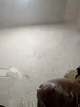 Lalin2323 online show from 03-11-26, 01:21