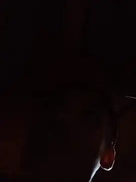 Negok1ng17cm online show from 12-01-25, 01:56