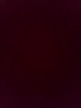 gatitachula93 online show from 04-13-26, 12:20