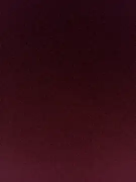 gatitachula93 online show from 04-11-26, 07:17