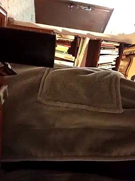 gatitachula93 online show from 02-20-26, 11:06