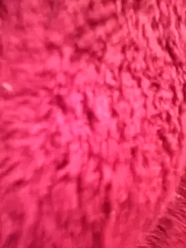 gatitachula93 online show from 03-12-26, 07:18