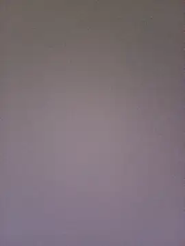 gatitachula93 online show from 02-10-26, 01:54