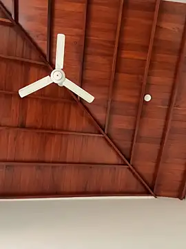 Dahan99346 online show from 12-18-25, 06:18