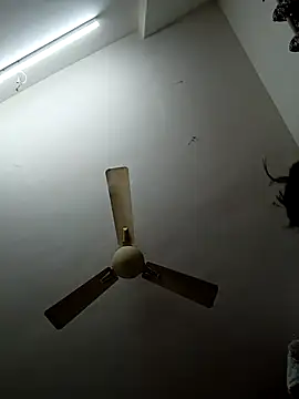 shilpa-singh online show from 12-20-25, 05:16