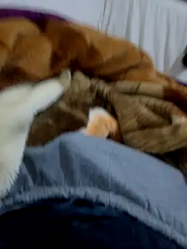 KF hway online show from 03-10-26, 07:51