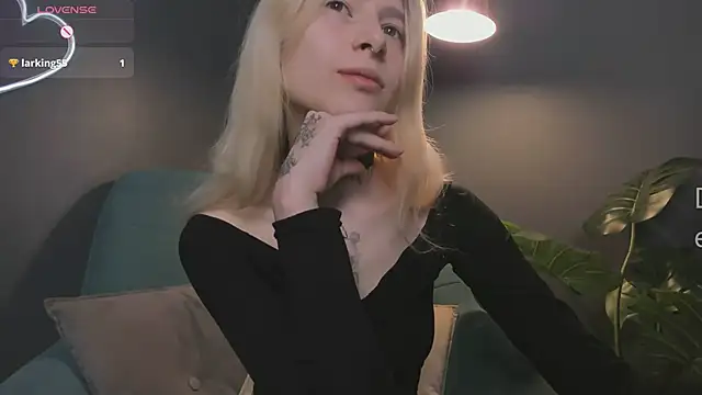 error occurred  online show from 02-01-26, 12:14