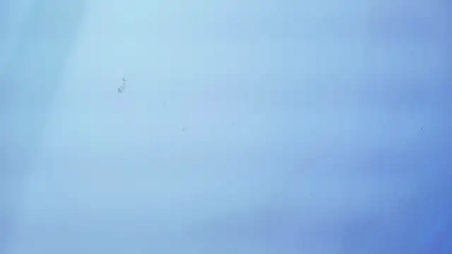 Nicole sounders online show from 01-19-26, 11:25